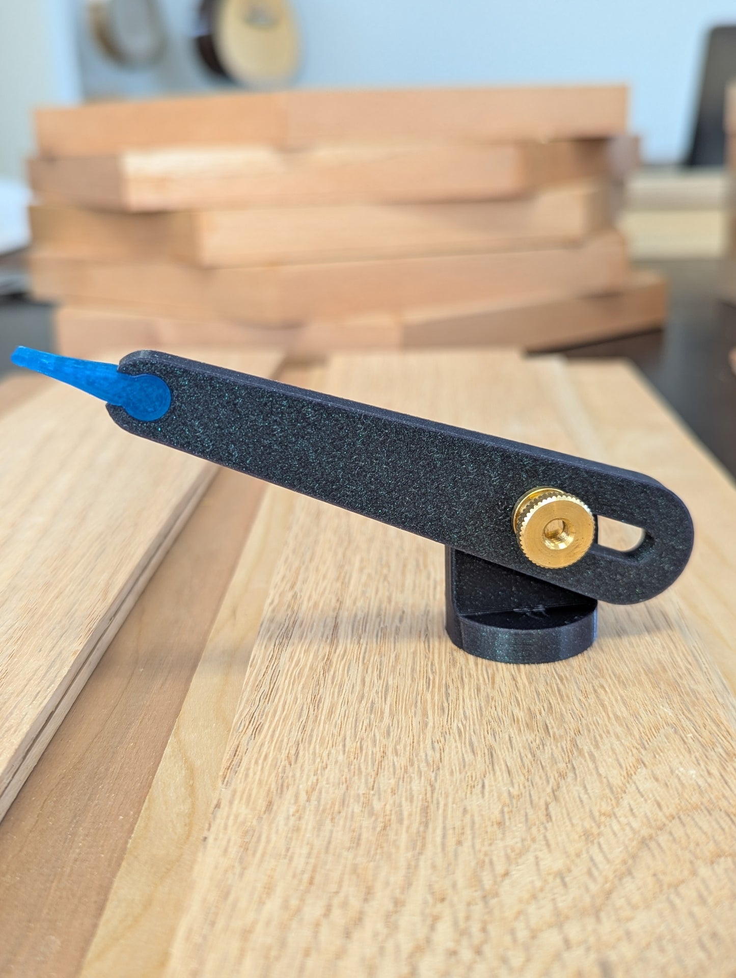 Plectrum Arm